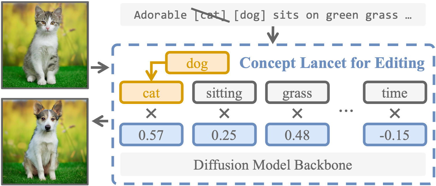 Concept Lancet: Image Editing with Compositional Representation Transplant