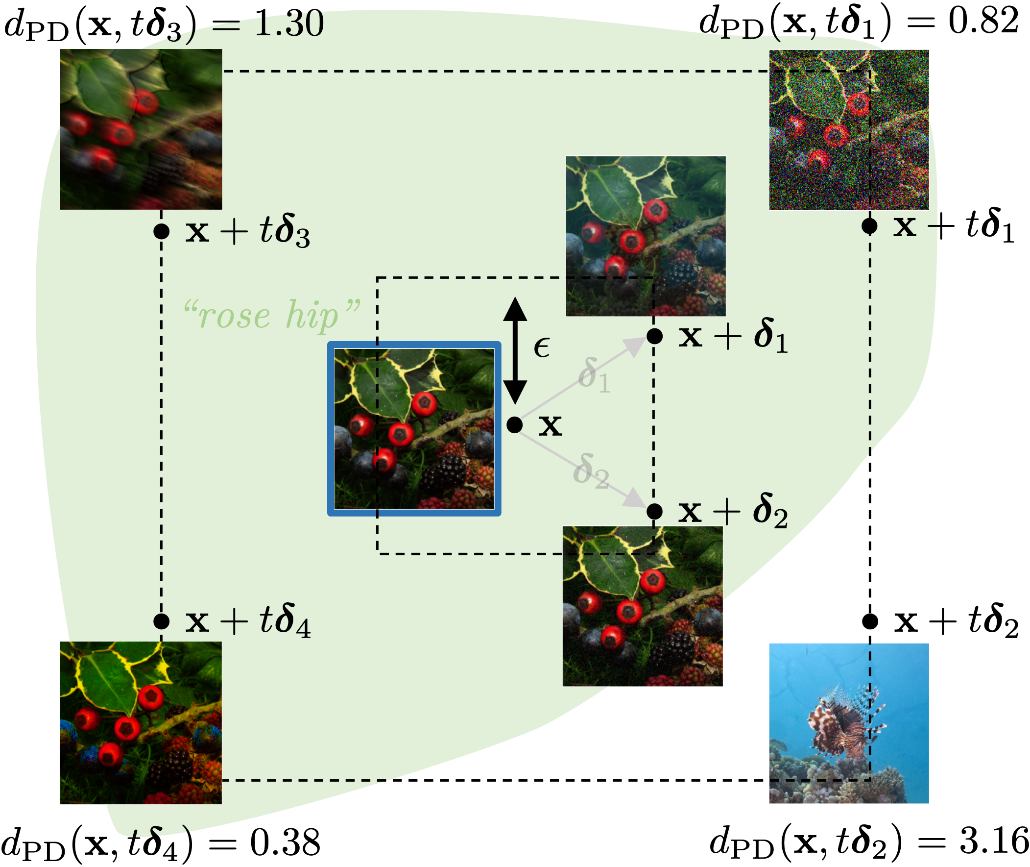 Disentangling Safe and Unsafe Image Corruptions via Anisotropy and Locality