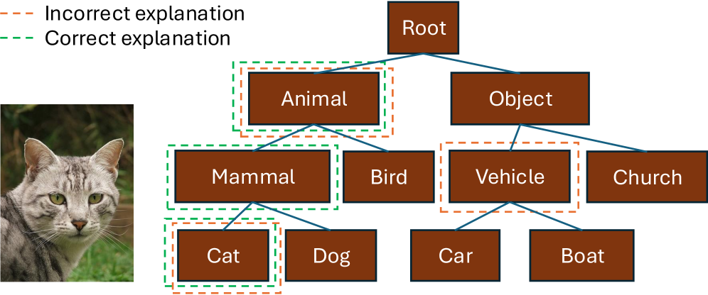 Hierarchical Concept Embedding & Pursuit for Interpretable Image Classification